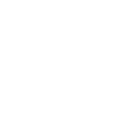 retailer logo